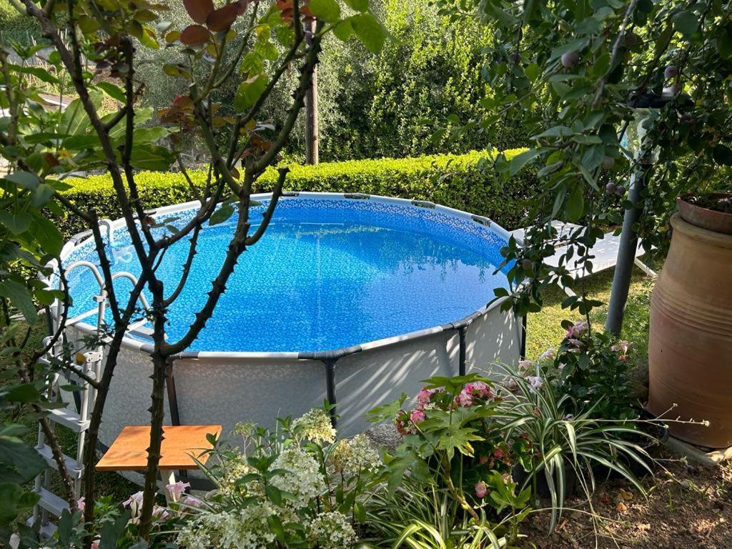 Casa Anna A Pietrasanta In Toscana Con Piscina Exterior foto